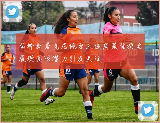 黄蜂新秀克尼佩尔入选周最佳提名展现无限潜力引发关注