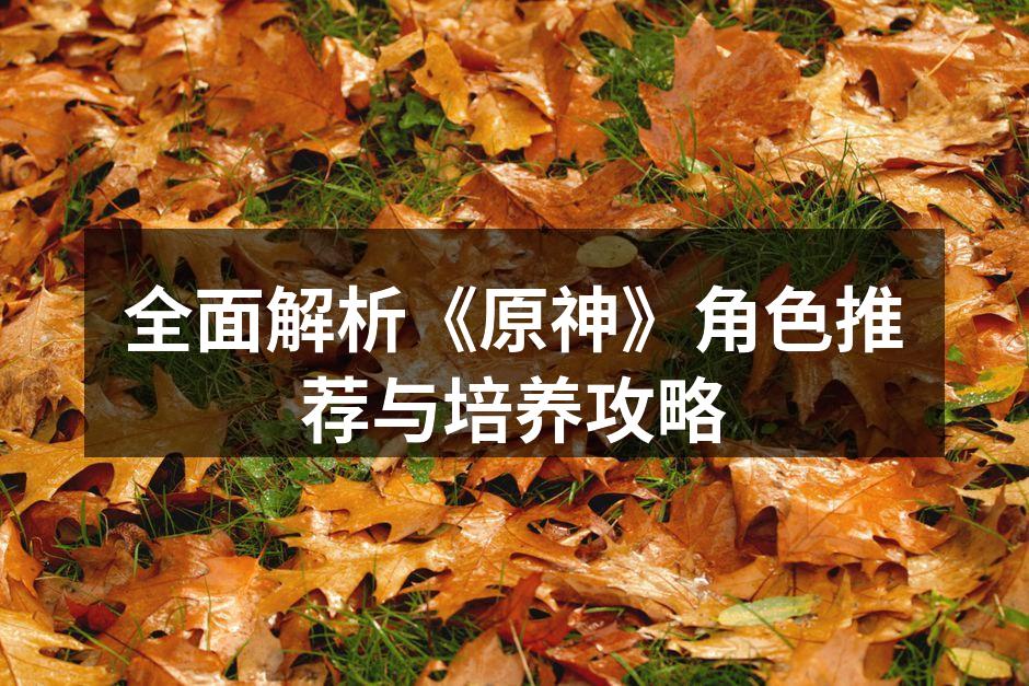 全面解析《原神》角色推荐与培养攻略