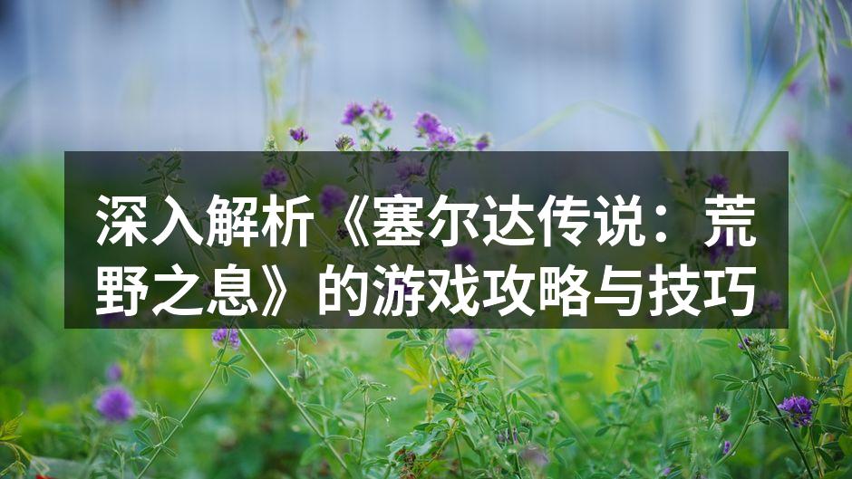 深入解析《塞尔达传说:荒野之息》的游戏攻
